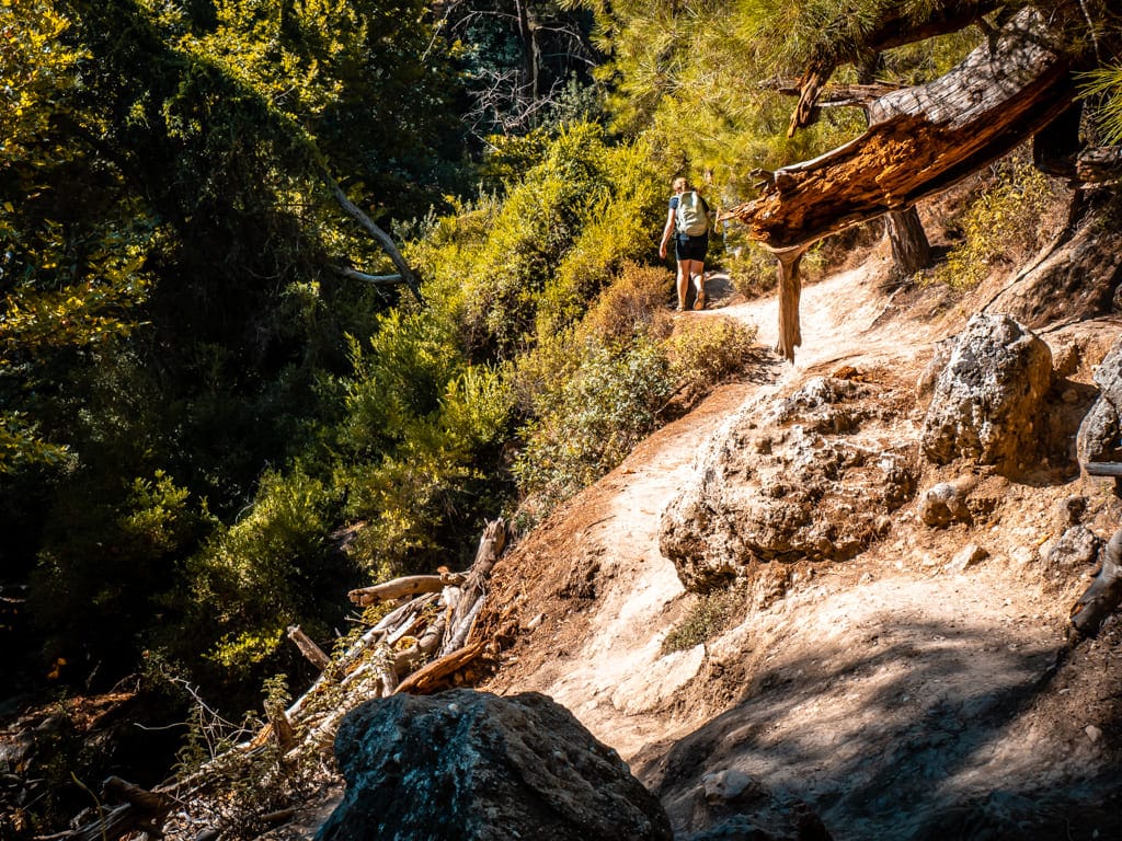 Forest Hiking Rhodes